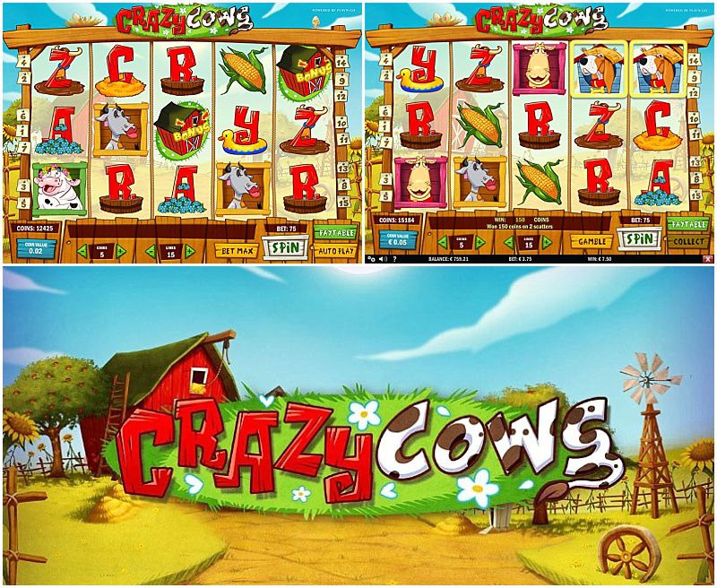 Crazy Cows